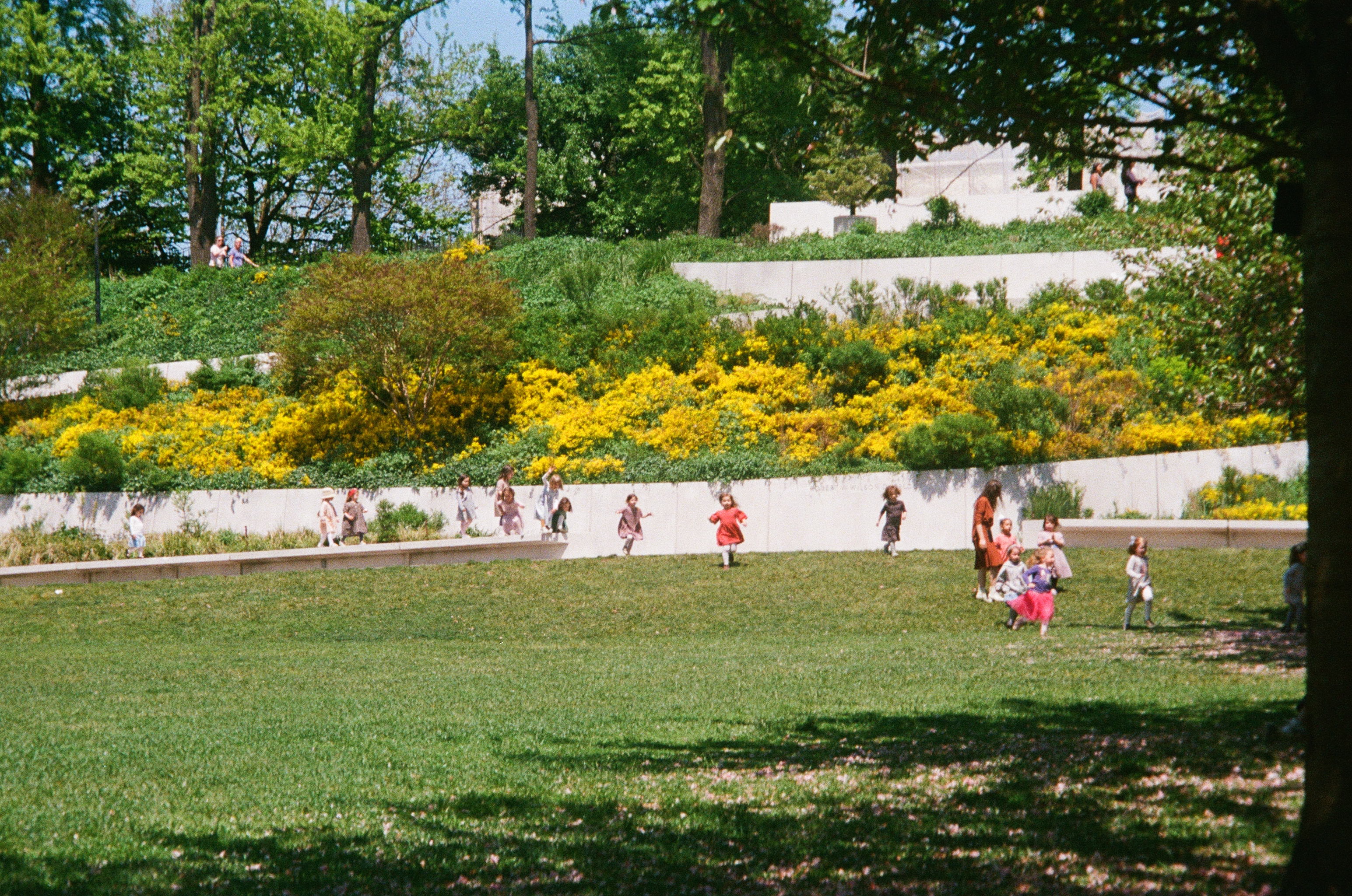 Brooklyn Botanical Gardens photo