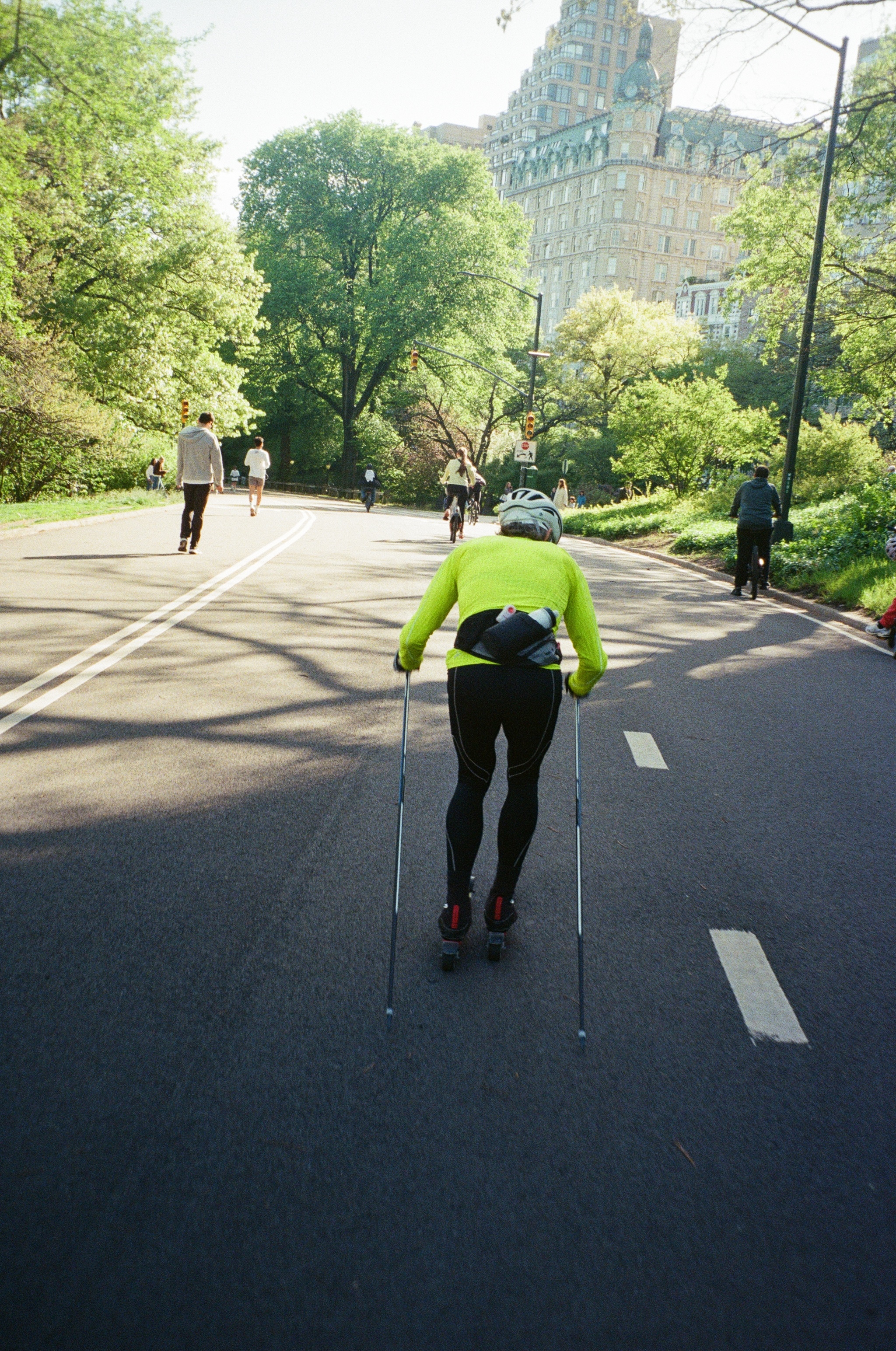 Central Park photo